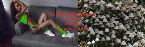 соль ск Коряжма