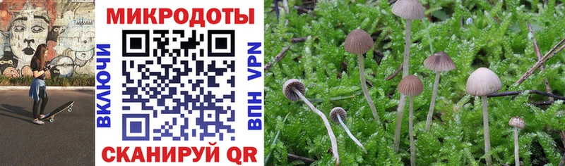 Купить где  Бикин  Галлюциногенные грибы MAGIC MUSHROOMS 